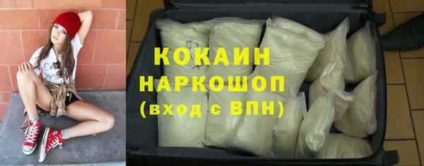 индика Богородск