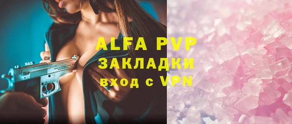 индика Богородск