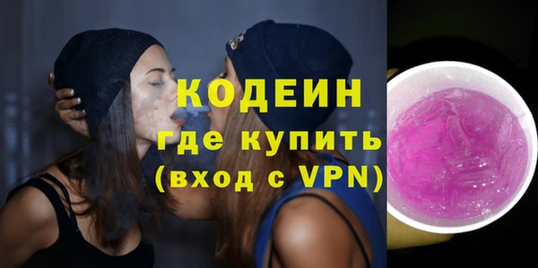 индика Богородск