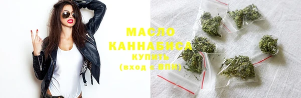 индика Богородск