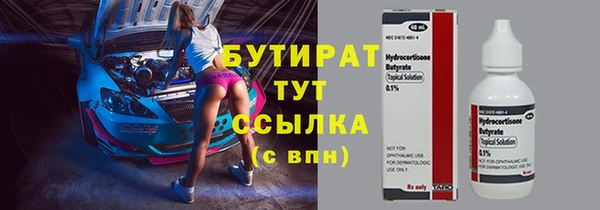индика Богородск