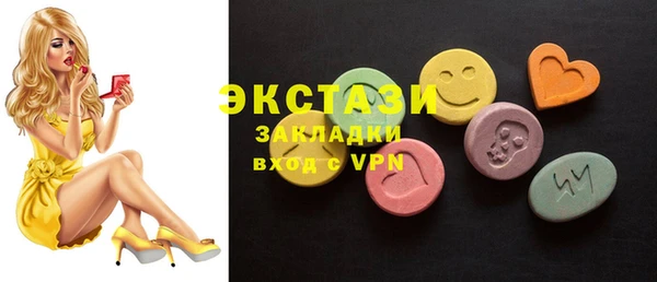 индика Богородск