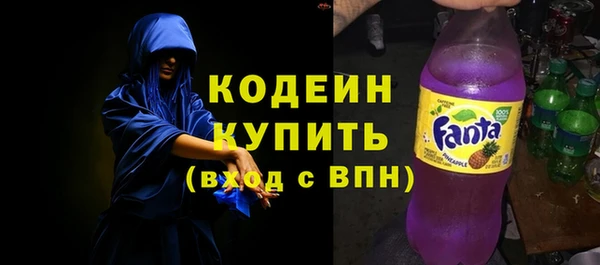 индика Богородск