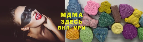индика Богородск
