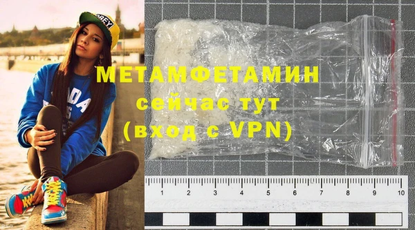 индика Богородск